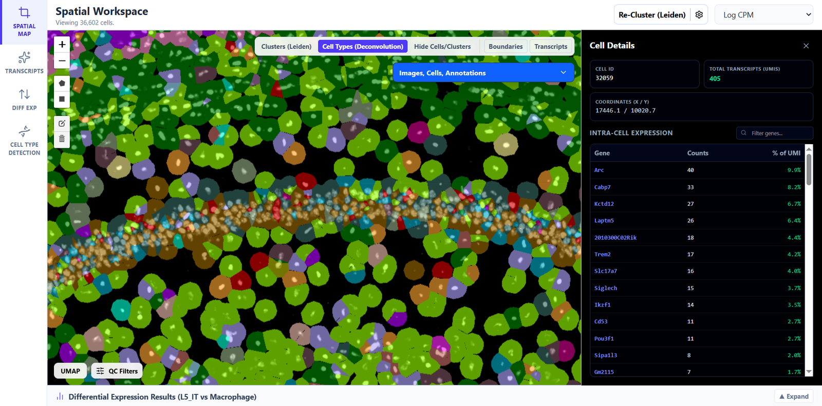 Cell Details