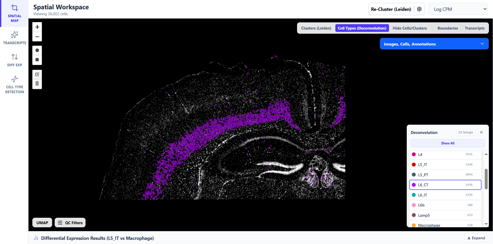 Cell Type Isolated