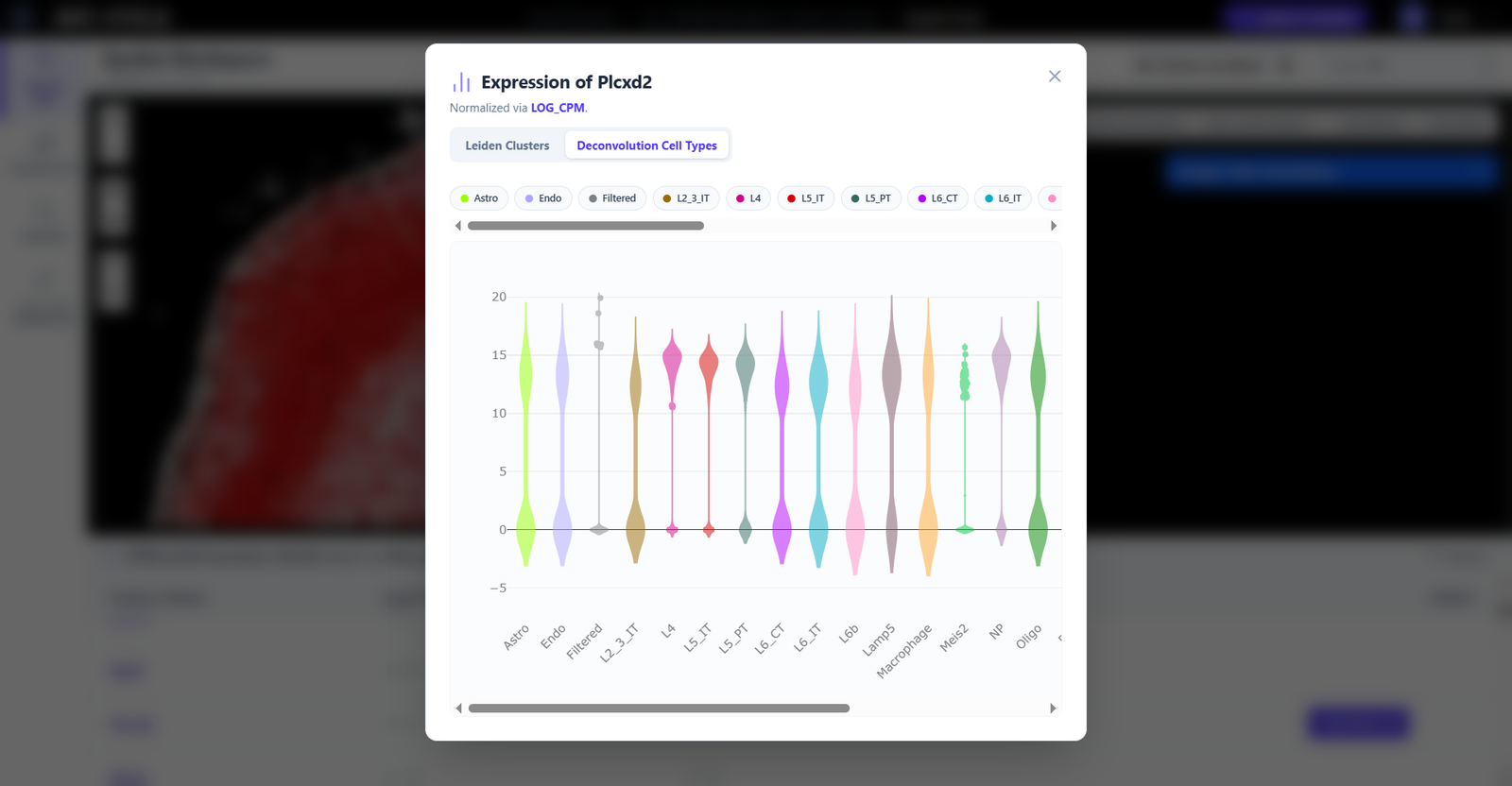 Violin Plot